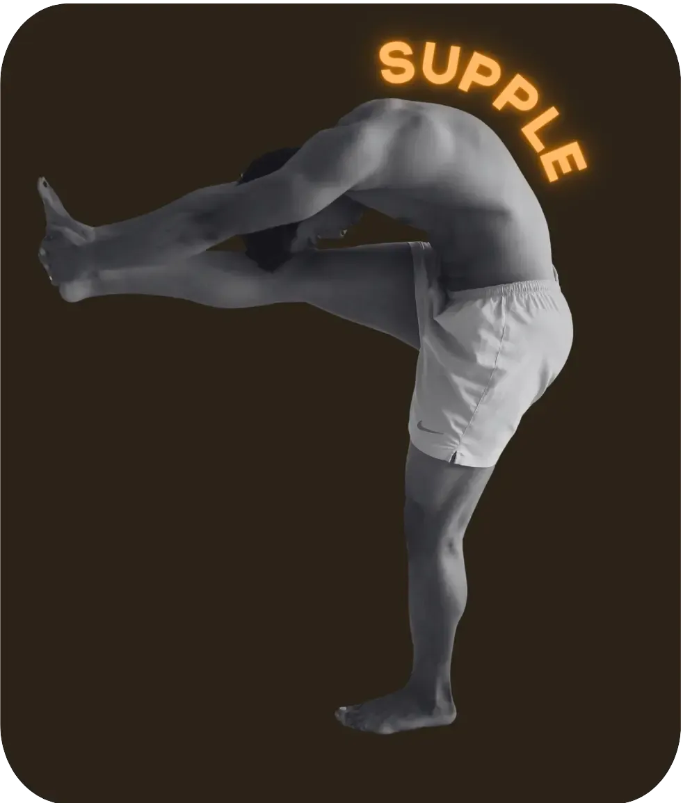 SUPPLE Banner